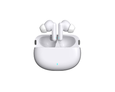 LT2302（耳内式助听器）